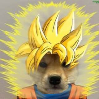 <a href="/moonpay/">MoonPay 🟣</a> dogwifround2