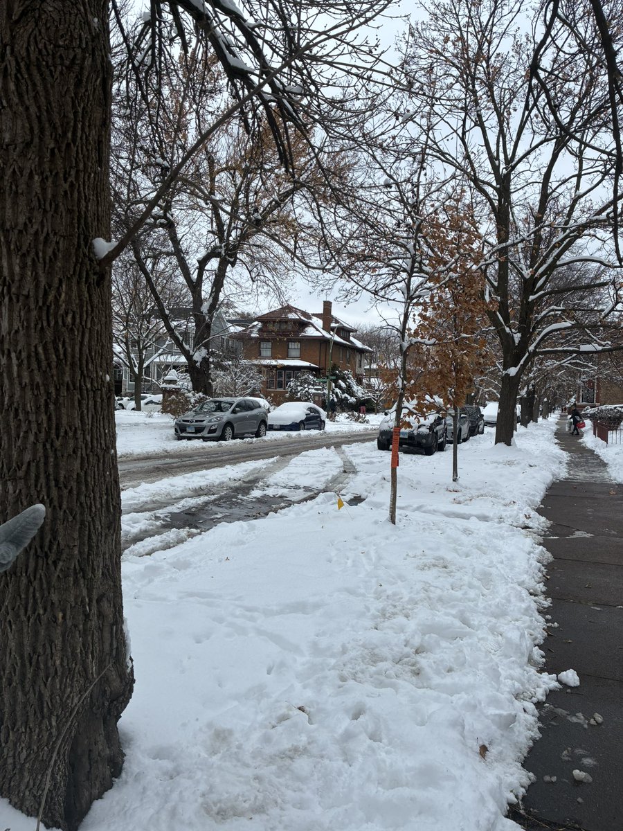 Alicia, Courtyard Urbanist tweet media