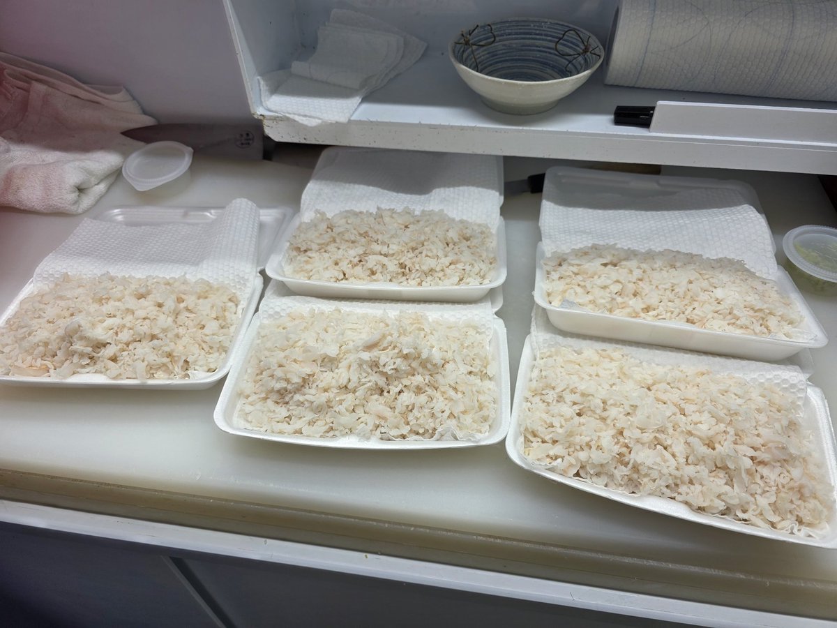 epvx5133's tweet photo. 고소한맛이 일품인 아나고회
1kg가 2인분 도시락 하나가 2인분 총 5kg
기장시장기장회센타에 #아나고회 드시러 많이들 오셔요.  #고소한아나고회 #5인분 #구이용장어택배전문 👍👏
#아나고회택전문 🐟🐠
#회포장전문 📦🎁
#기장회센터 #기장시장기장회센터 📍🌊
#기장시장회맛집 #맛집 #싱싱한활어회 https://t.co/b37f28vVFr