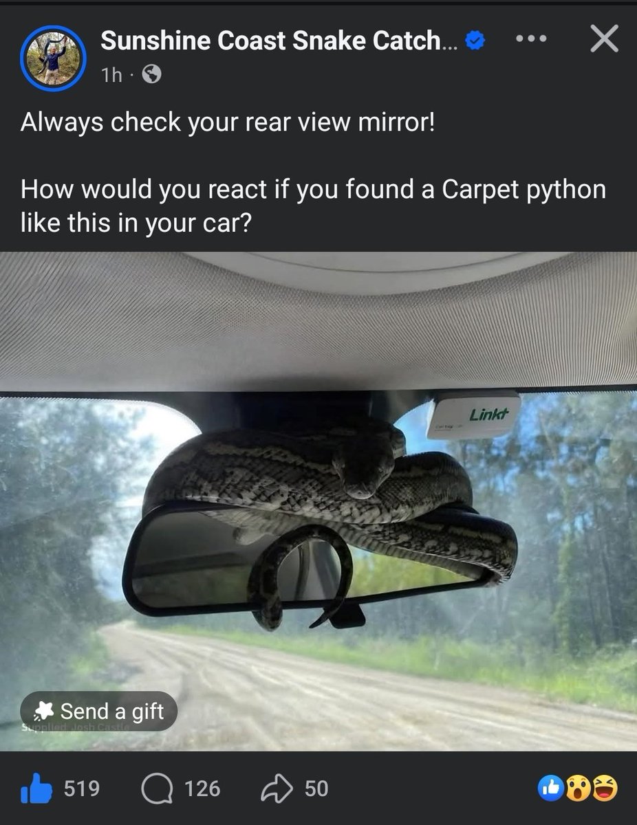 The new car anti theft, anti car-jacking device. Level Australia 🤣🤣🤣