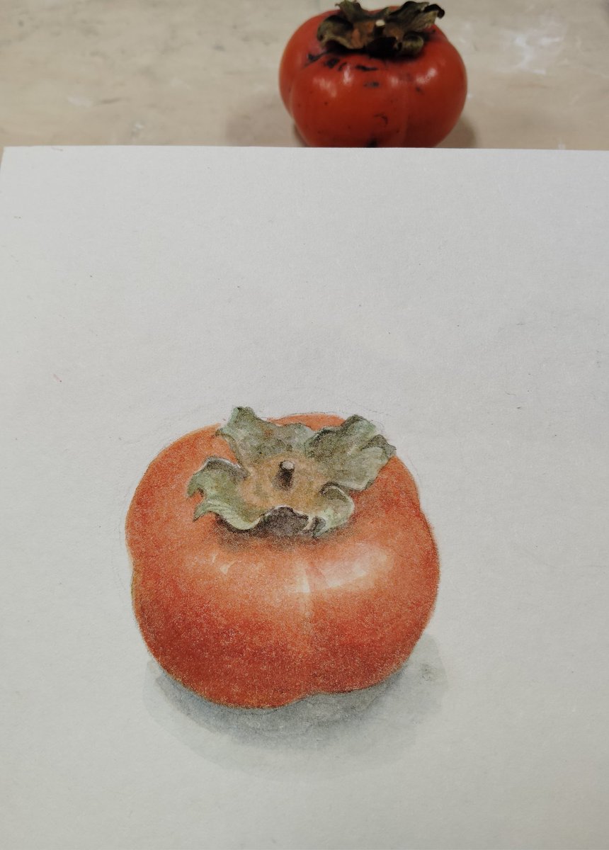 秋を満喫する余裕はなかったけど、スキマ時間に頂いた柿をスケッチ