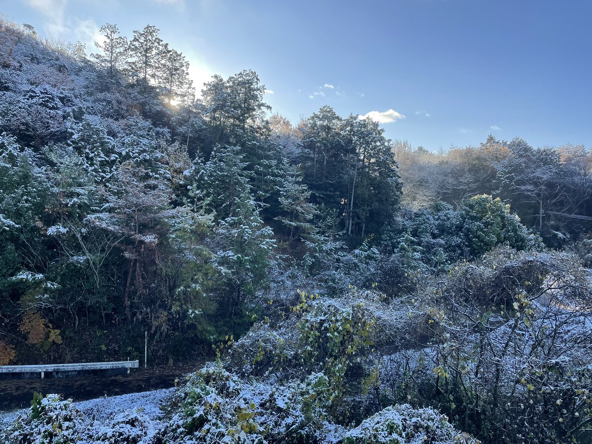 Staa blubuk blubuk🫧 tweet media