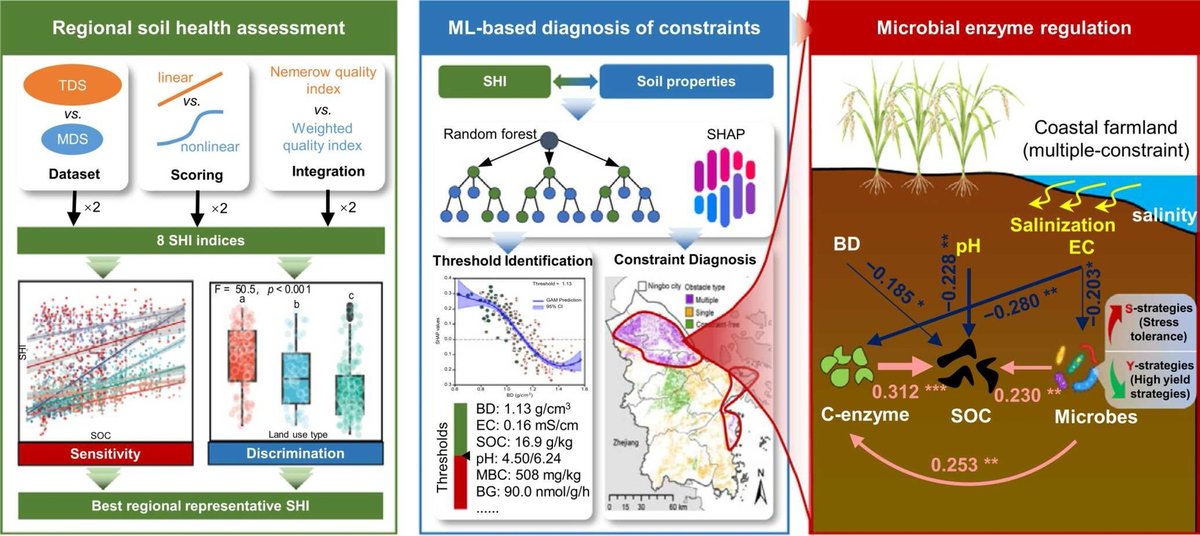 ykuzyakov's tweet image. NEW in @soilandtillageresearch
Soil health constraints in agroecosystems: Machine learning reveals microbial enzymatic thresholds and Drivers
doi.org/10.1016/j.stil…

50-day Free: authors.elsevier.com/c/1mCytc13yd63j

#SoilOrganicMatter #SoilOrganicCarbon #soil #agriculture