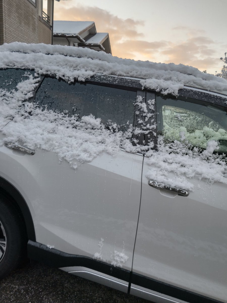 雪つも～⛄️🎶
でも道路はとけてたので無事に会社に来れた☺️
今日も1日頑張ろう