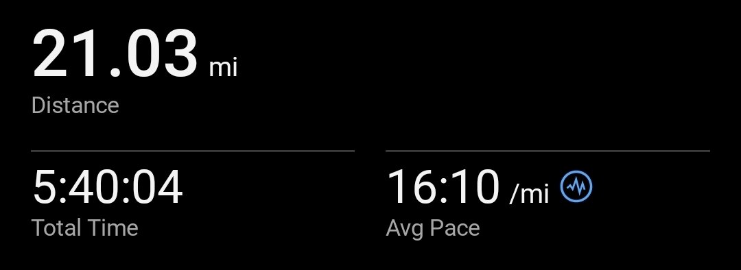 Miffed Kitten tweet media