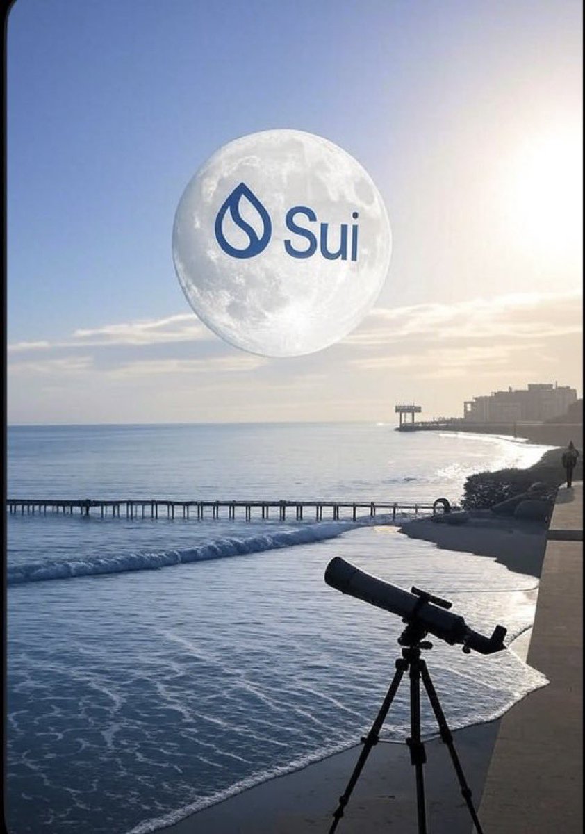 SamuelDzarma's tweet image. The opportunity of being introduced to SUI was brought to my university by @socscdotsui @mykeltyopev  and @thompsonogoyi some months back and I was called upon by @SamEgwuJr to have a team and with his help and the help of this great men I and my team were introduced and Blessed.