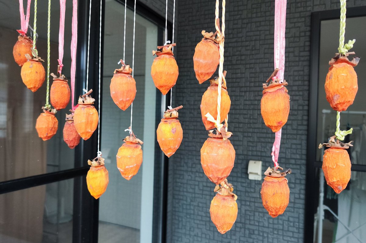 だいぶ干し柿っぽくなってきた🎶
かなりやわらかくなってるものは
来週半ばくらいには食べれるかな？