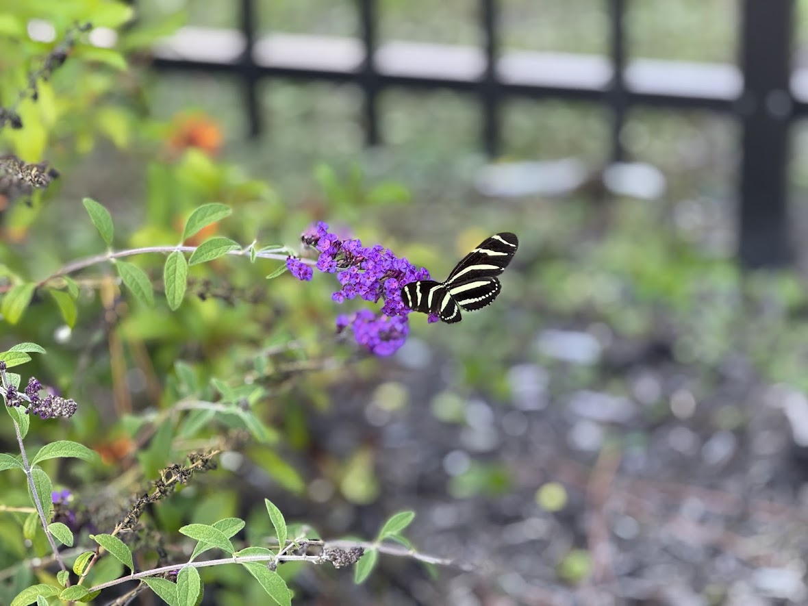 Our Hearts Are With You

Our hearts are with Family Initiative and everyone grieving the loss of Rebecca Knight and Brenna &amp; Craig Millett. Sudden loss impacts whole communities. Valerie’s House is here for FI and for any grieving children and families in SWFL.