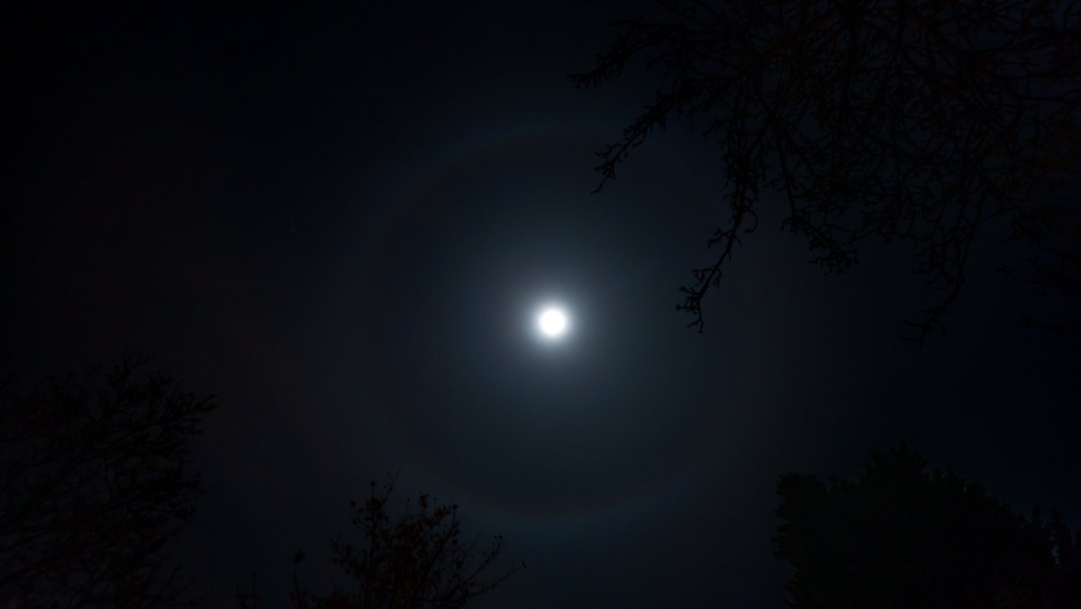 KNOWN STUDIO NEWS tweet media