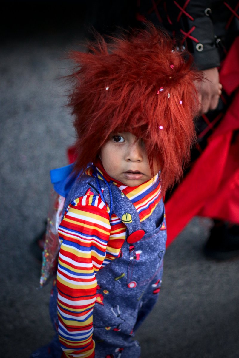 TheCarki tweet media