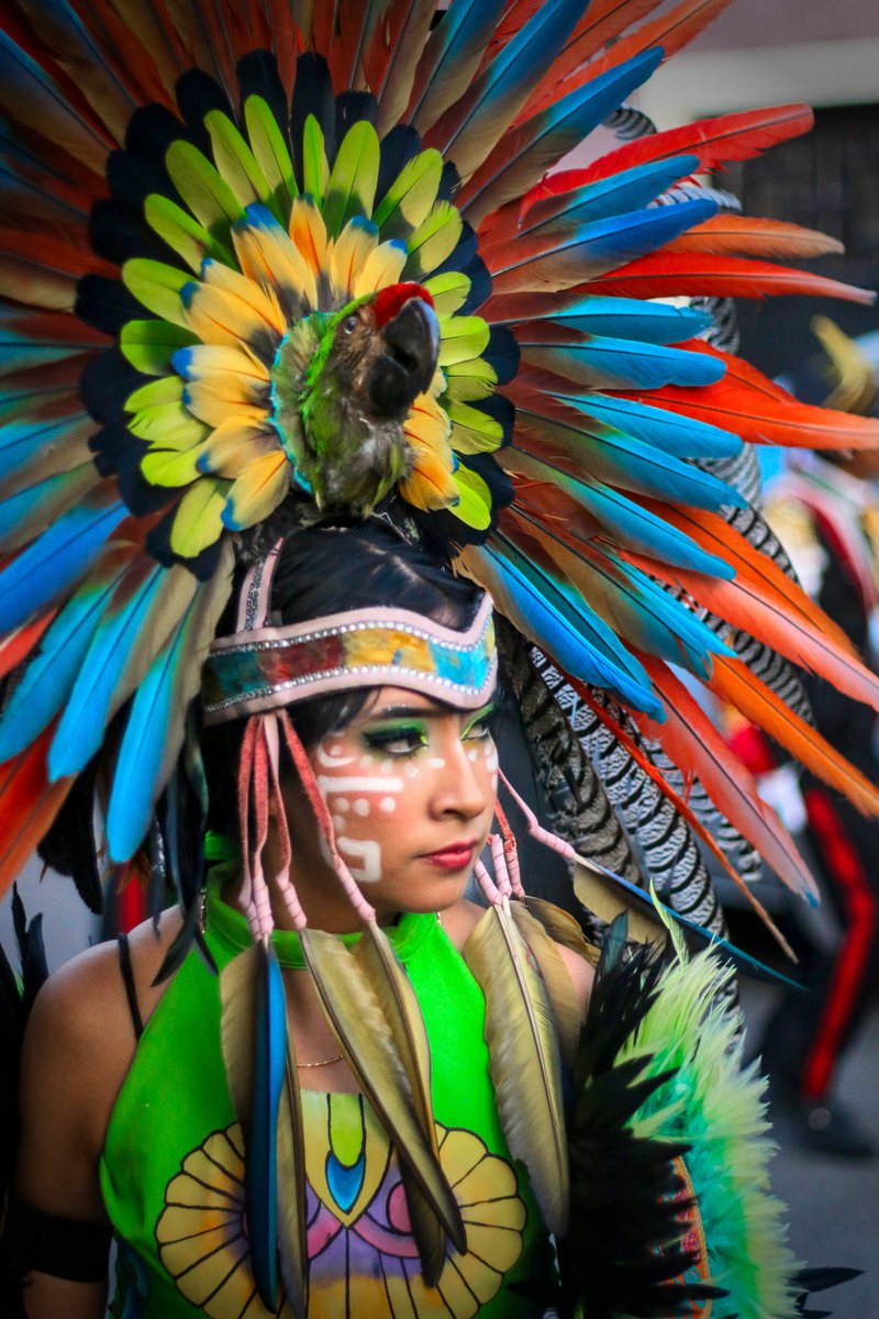 TheCarki tweet media