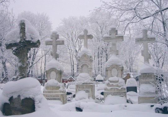 spookyxxboobs's tweet photo. a love affair with snow https://t.co/vBPaQowBoZ