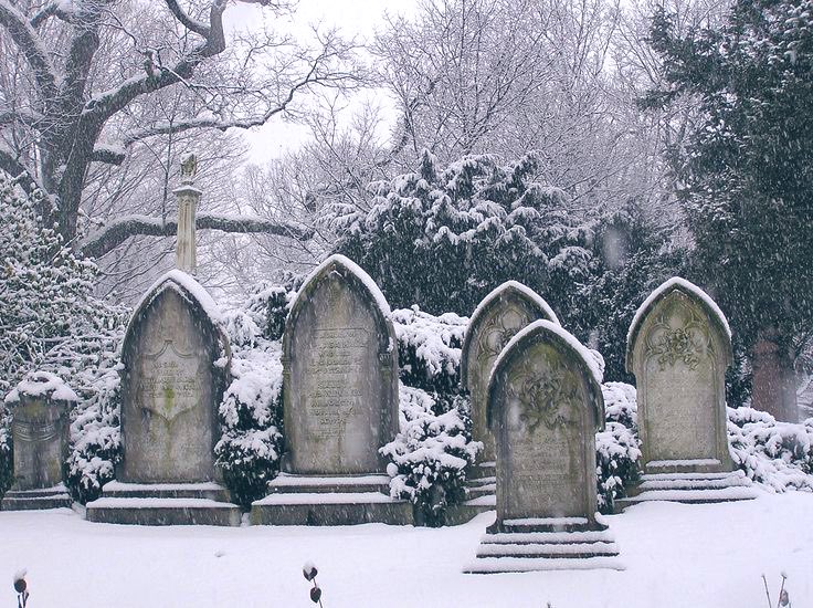 spookyxxboobs's tweet photo. a love affair with snow https://t.co/vBPaQowBoZ