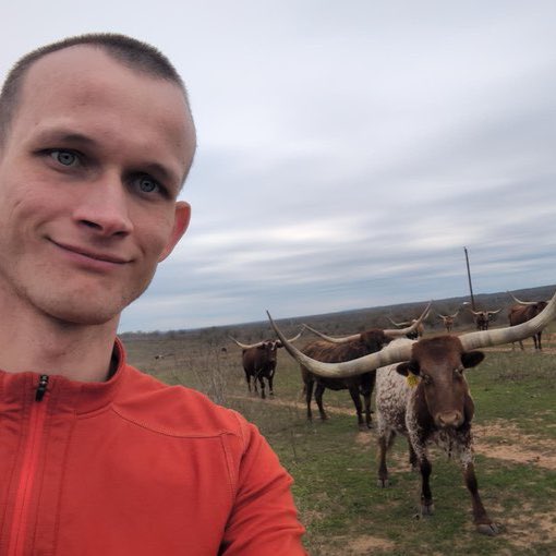 fexir1's tweet image. Vitalik is a chad. 

Bag worker.