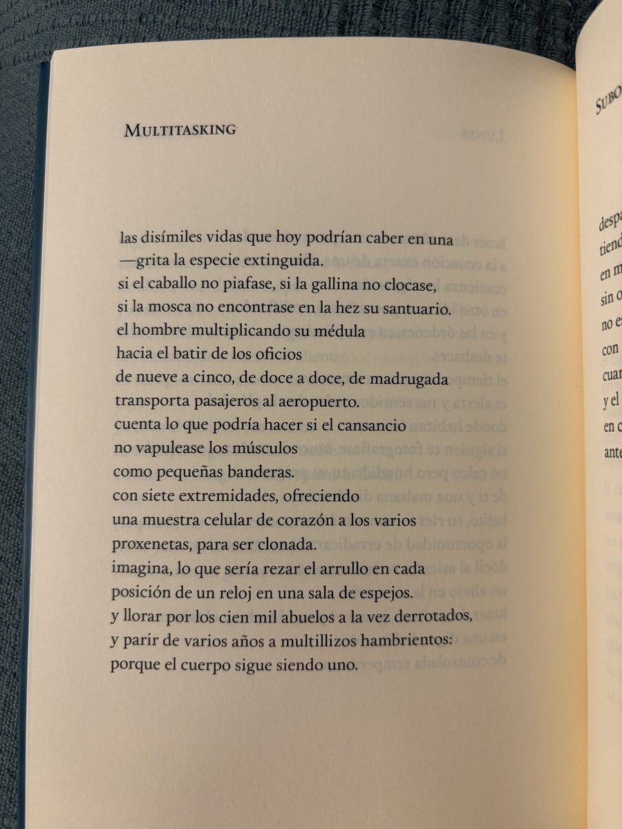 El bello poema de hoy es de <a href="/Zahr_Bloom/">Azahara Palomeque</a> tomado de su poemario “Currículum” (2022) publicado por <a href="/RILeditores/">RIL editores</a> #unpoemaaldía