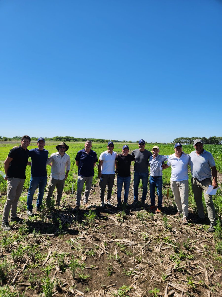 Recorrimos ensayos en Manuel Ocampo junto al equipo de Agronort, donde vimos distintas estrategias de control de #ramanegra con Pixxaro y Elevore en maíces Enlist:

👉A (2/11) Galant max 150cc/ha + 2lts/ha de Panzer Gold+ MSO 0.5% v/v
👉B (10/11) Glufosinato 2lts/ha +MSO 0.5% v/v