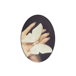 deviousdance's tweet photo. ⠀
      
♡ ⠀⠀ 𝐌𝐚𝐢𝐧𝐬 𝐂𝐚𝐥𝐥 .

drop a like if you’re okay with my muse bothering yours. (jumping on your posts, @ ing you etc.)

⠀ https://t.co/wMdLsHL6aK