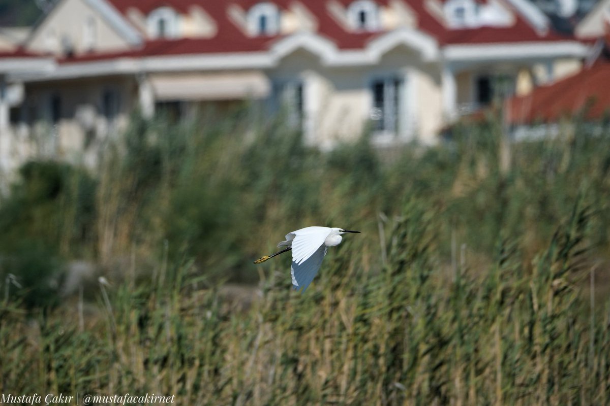 Manzara ortada: Beton istediği gibi genişlemiş, hayat ise geriye kalan aralıkla yetinmiş. Bu düzende yorumu kimse üstlenmek istemez zaten.