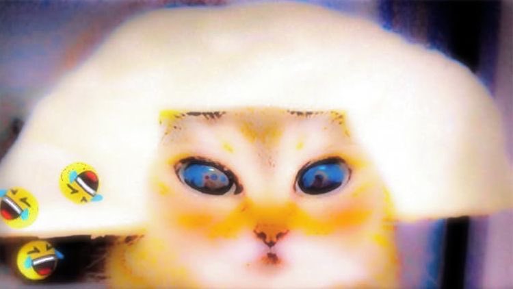 DevuelvemeMisMacarrones tweet media