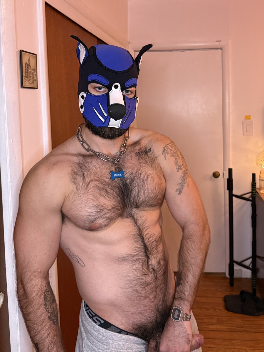 Give it a squeeze, pup 😏