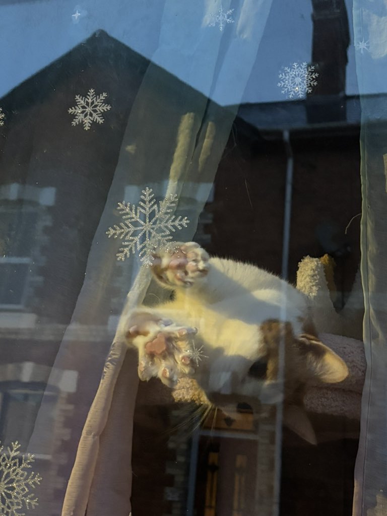 binkywinkywoo's tweet image. SNOWFLAKES