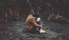 بوح ❥ tweet media