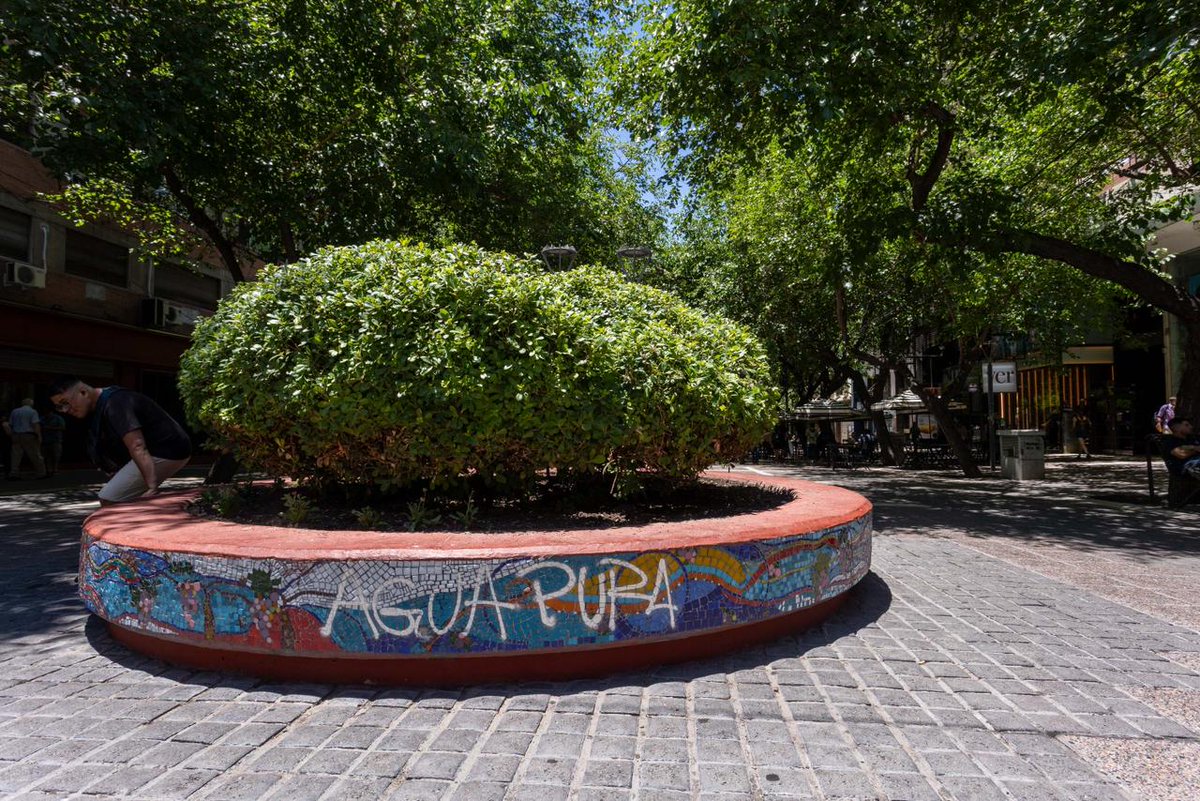 Ulpiano Suarez tweet media