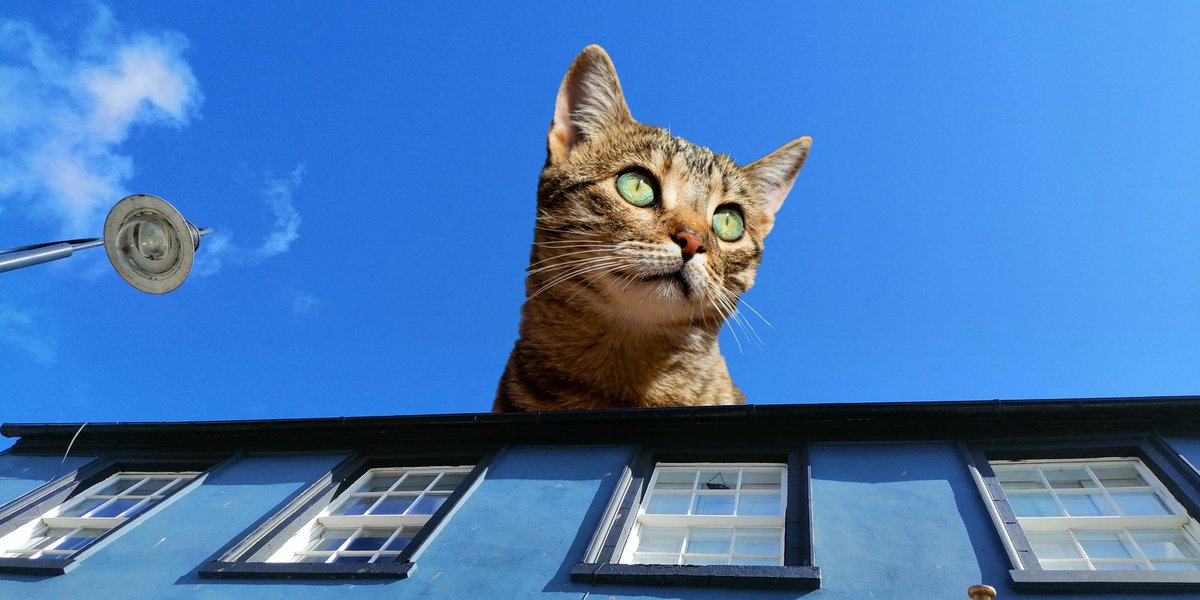 *ARCHIVE: 

spotted by: iainmbankz

 above high street; 56.001654,-2.515501; 

4/09/20