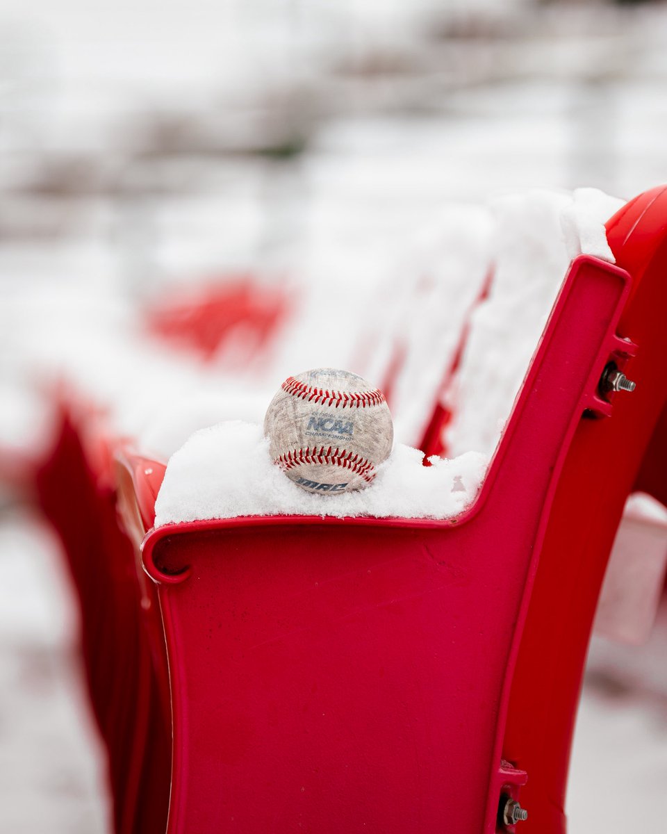 MiamiOHBaseball's tweet image. Snow place like 𝙩𝙝𝙞𝙨 ballpark❄️⛄️

#RiseUpRedHawks | #LoveAndHonor