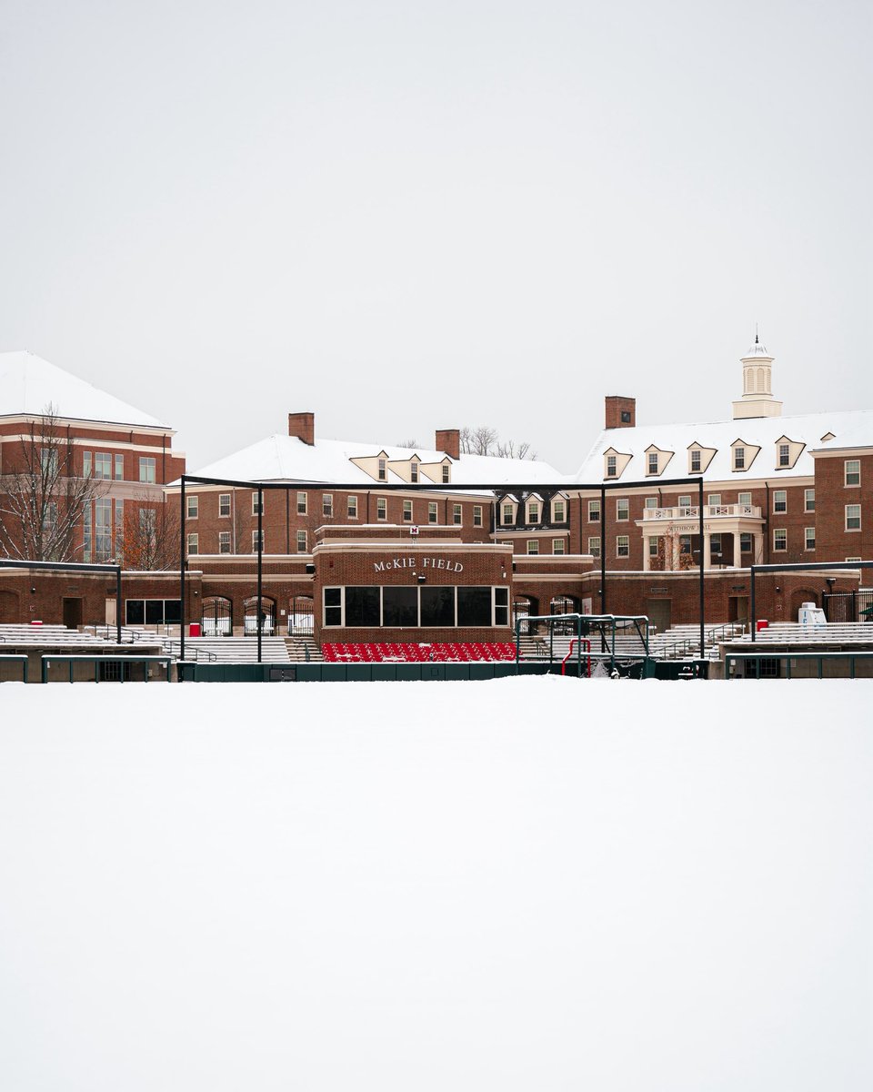 MiamiOHBaseball's tweet image. Snow place like 𝙩𝙝𝙞𝙨 ballpark❄️⛄️

#RiseUpRedHawks | #LoveAndHonor