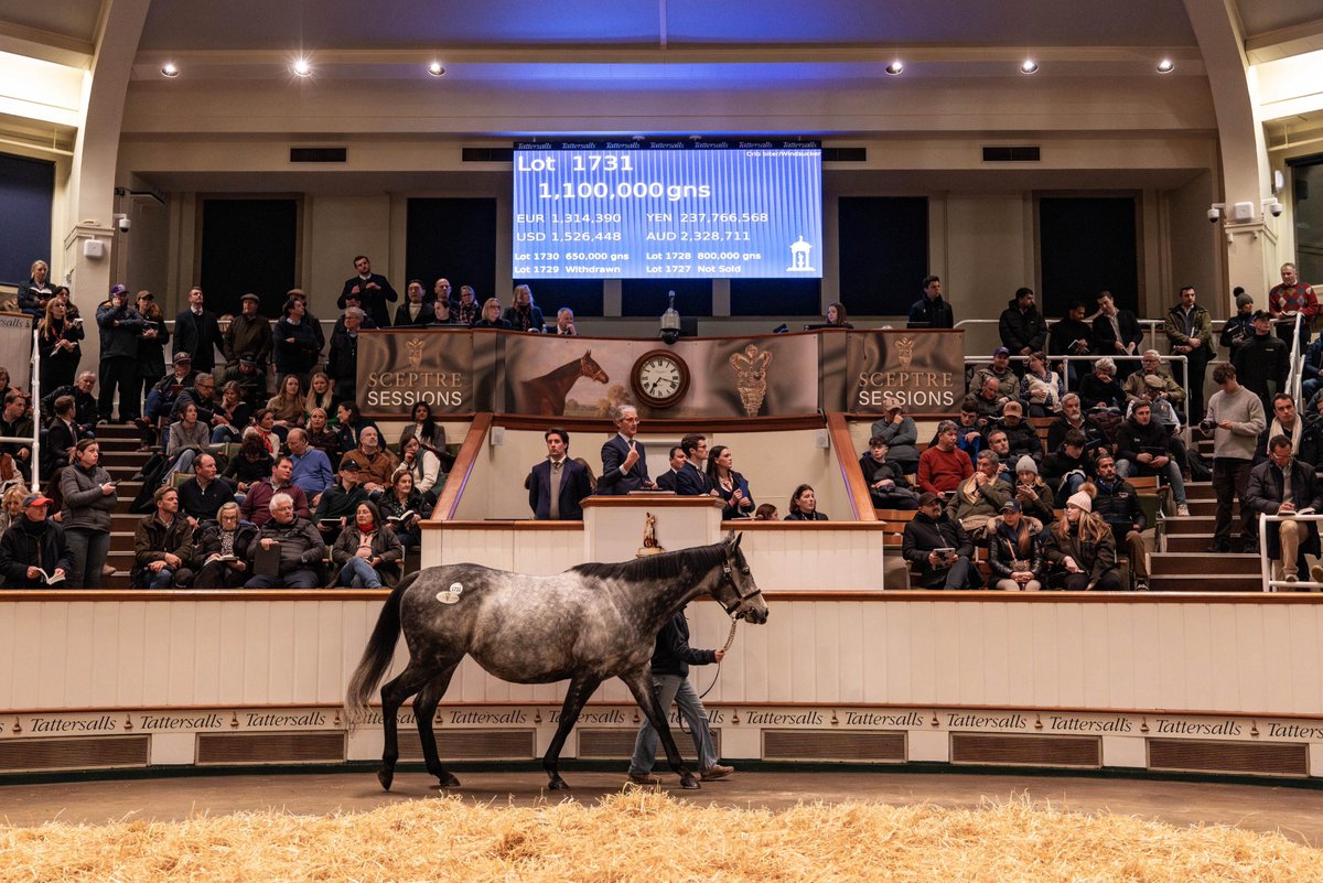 BartonStud1's tweet photo. That’s a wrap for the @Tattersalls1766 December Mare Sale 🙌

A huge thank you to our entire team, both at the sales and at the stud, for their incredible hard work over the past few weeks.

#BartonStud #TattsDecember https://t.co/OHuIrrhwPx