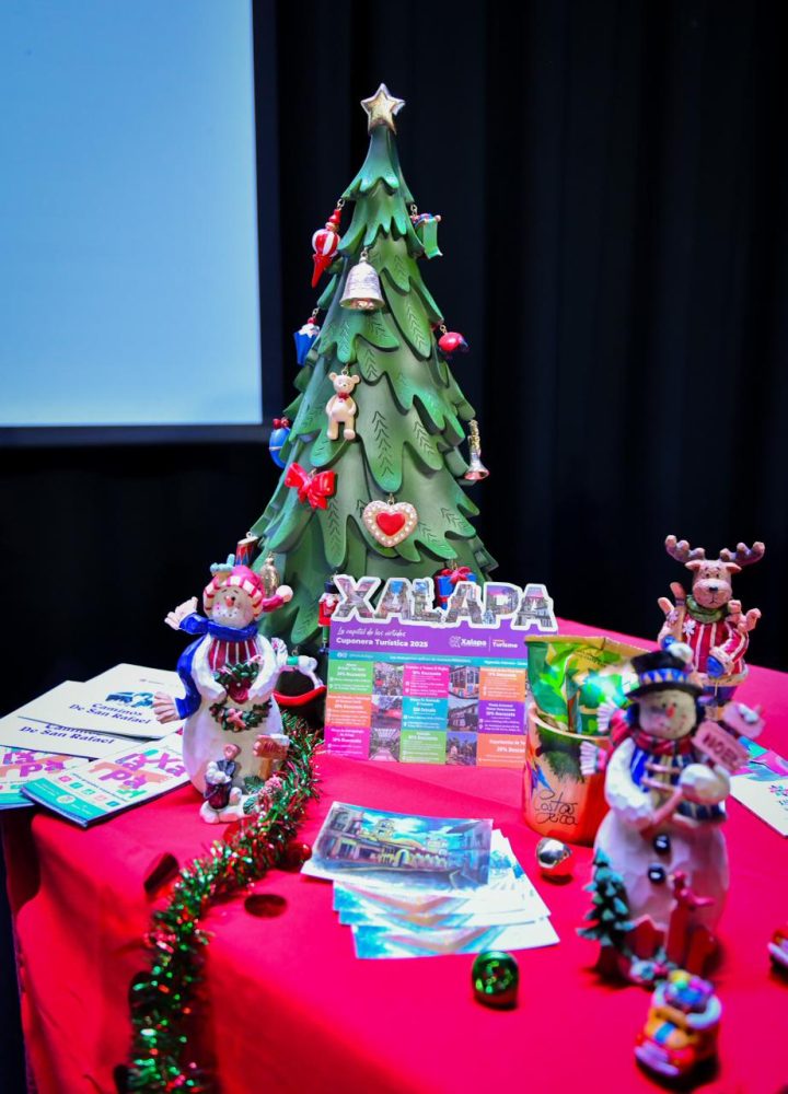 Ventanavermx's tweet image. 🎄Presenta #Ayuntamiento de #Xalapa #Programa Vacacional de #Invierno 2025 🎄
Nota:ventanaver.mx/principal/pres…