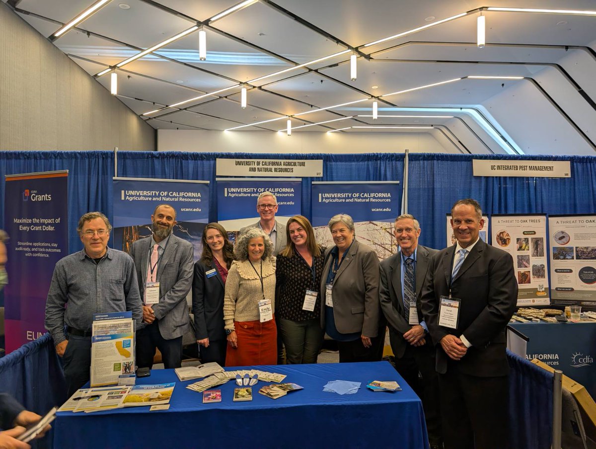 Shothole Borers in California tweet media