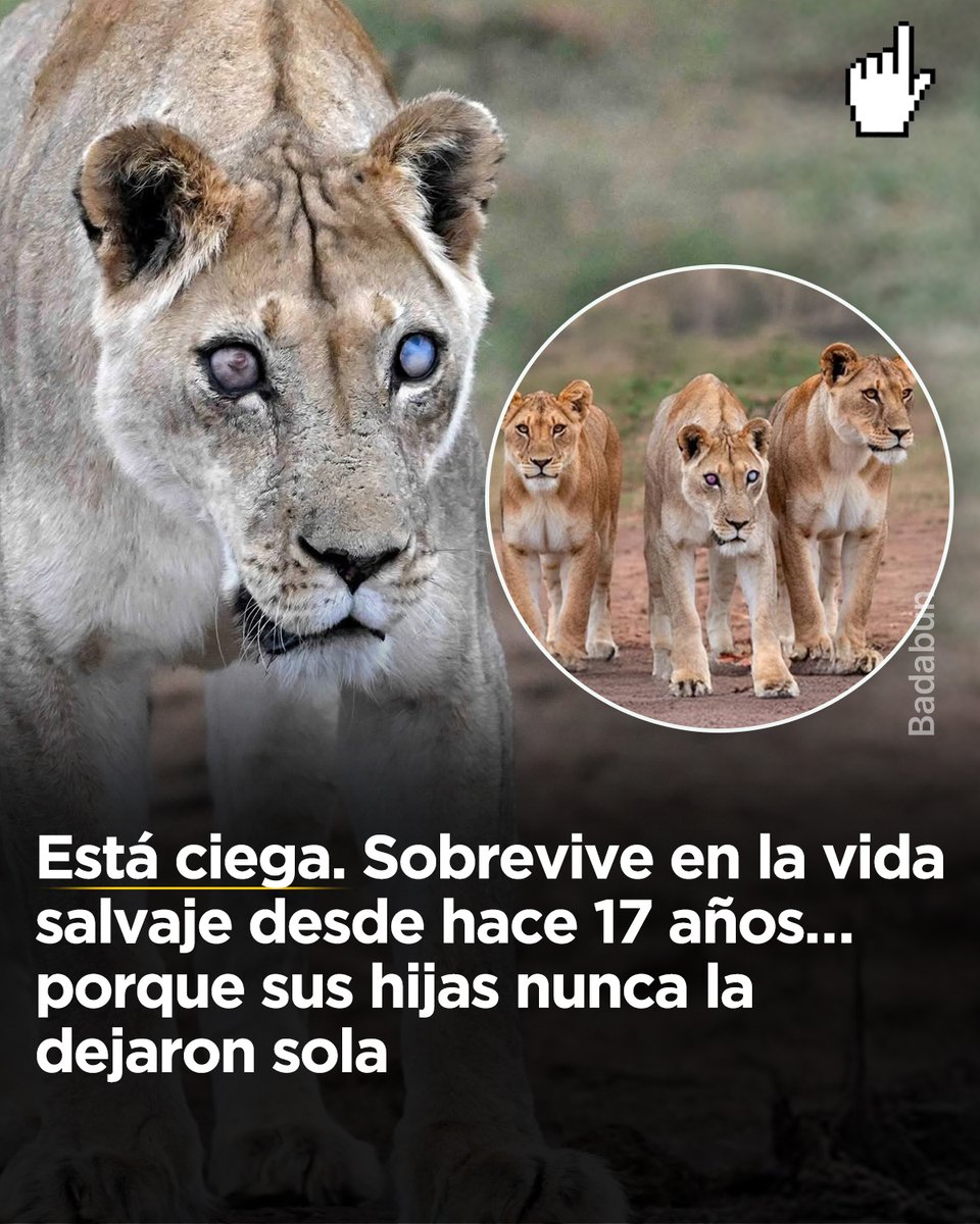 Casino El Camino Remains the Punk Stalwart of Sixth Street - Austin Monthly  Magazine, image size:960x1200