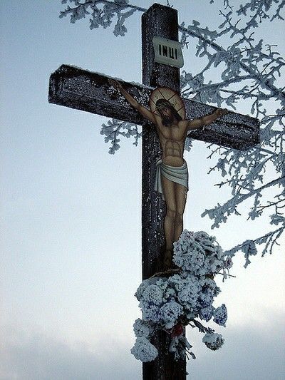 enebrina's tweet image. 🤍