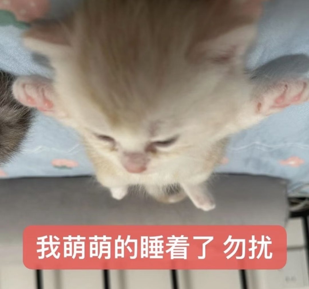 CP4399's tweet photo. 碎觉碎觉 今天心情很好 https://t.co/CfpATlnJTH