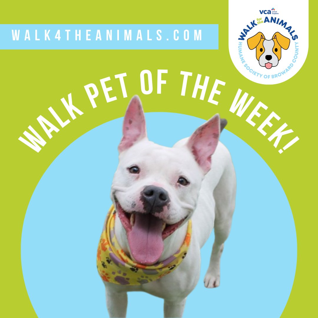 Humane Society of Broward Co. tweet media