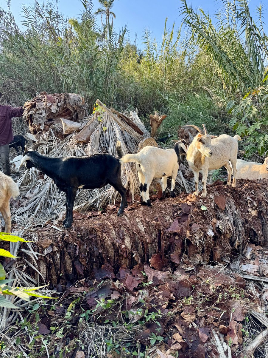 Catherine Blakespear tweet media