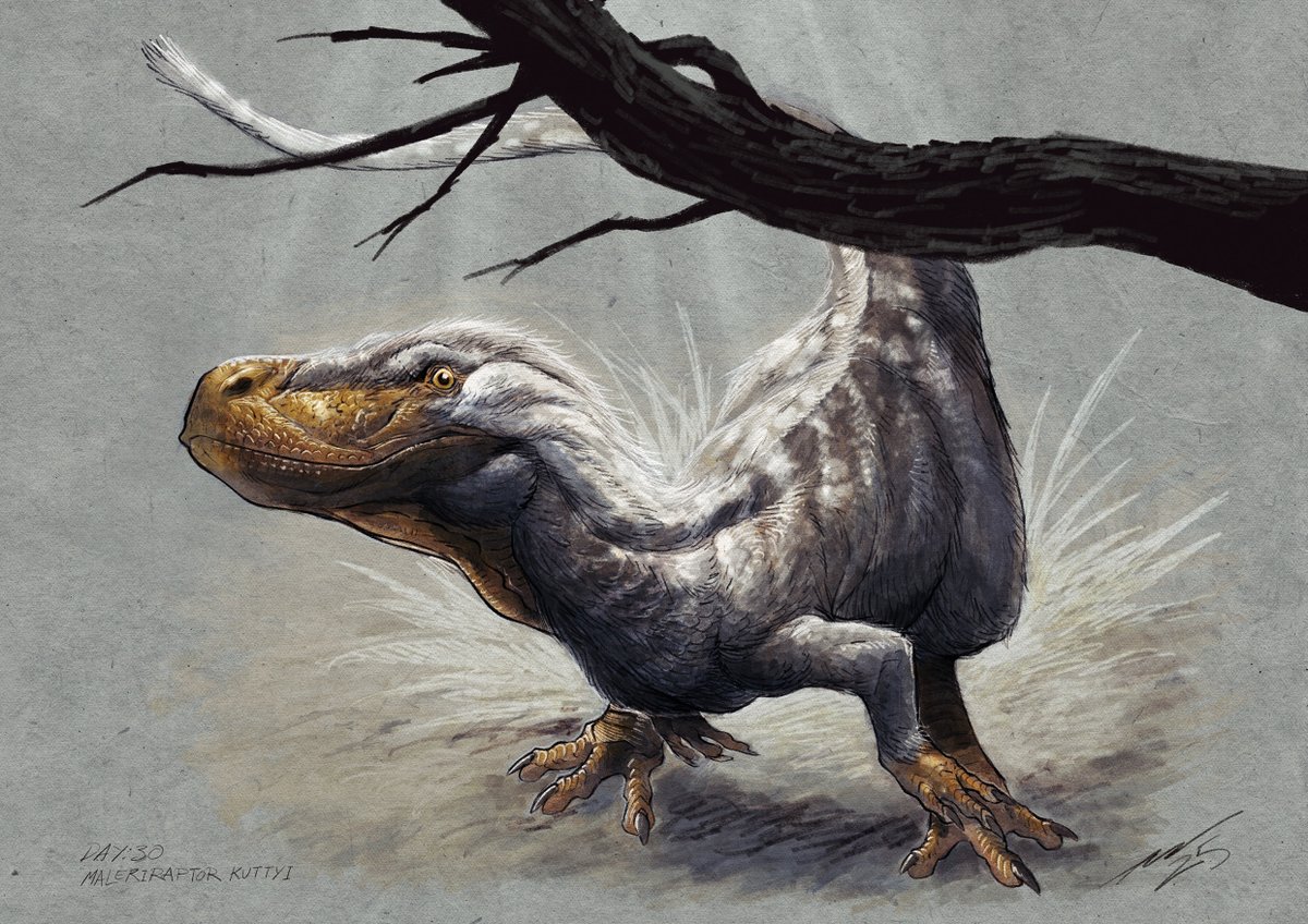 AdamWorks tweet media