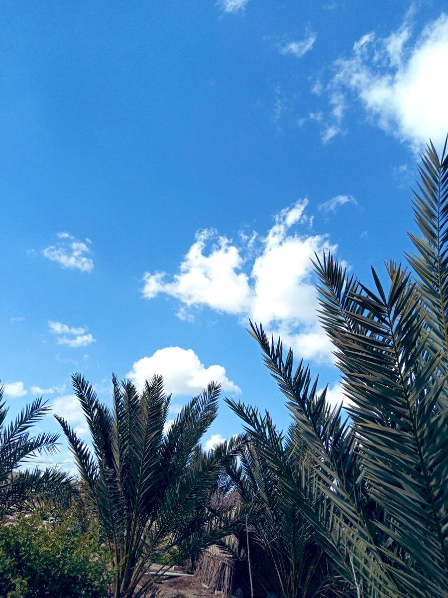 🧡

.
.

- ماعَاد تغريني الفُرص خلوُها تفوُت ..