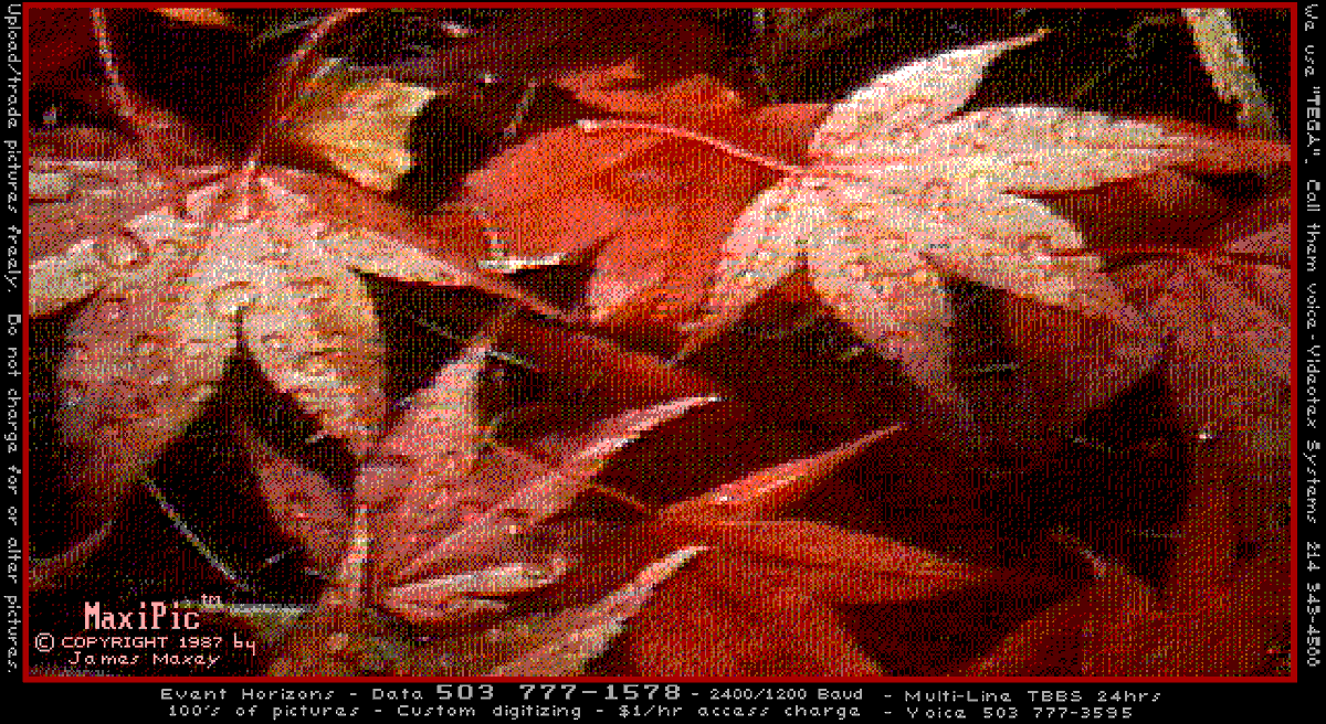 GIFS GALORE tweet media