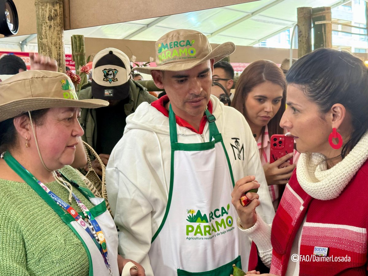 FAO_Colombia's tweet photo. 🌱La Ministra de Ambiente, @IreneVelezT, visitó nuestro stand en #Bioexpo2025, resaltando el compromiso por proteger la biodiversidad y promover una producción responsable. #MercaPáramo impulsa agricultura de bajo impacto en el Páramo de Santurbán. https://t.co/pzYLq9OxVd