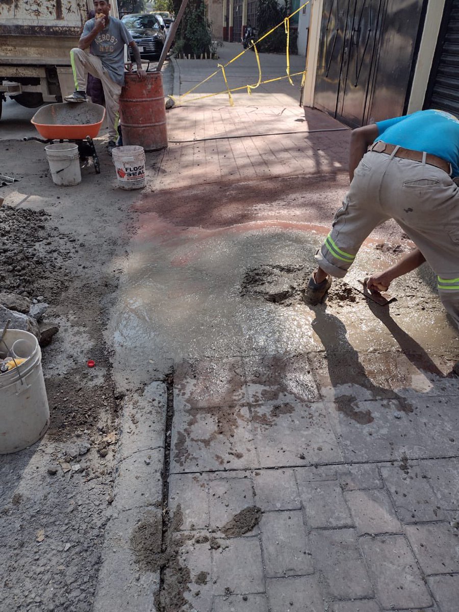 En la <a href="/SM_Chapultepec/">SanMiguelChapultepec</a> tiran árboles casi diario y la delegación no hace nada. <a href="/PAOTmx/">PAOT</a> <a href="/mauriciotabe/">Mauricio Tabe Echartea</a> <a href="/AlcaldiaMHmx/">Alcaldía Miguel Hidalgo</a>