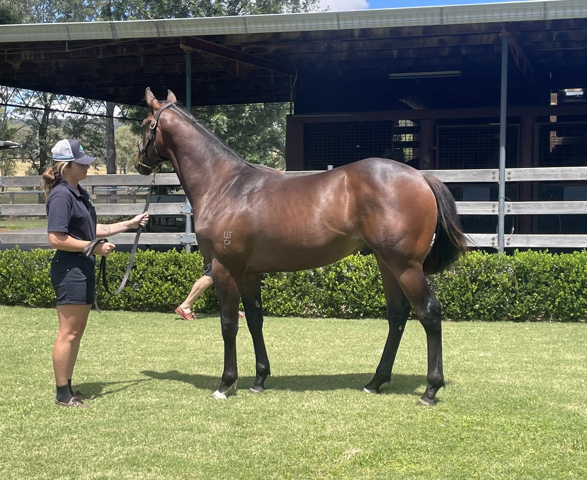 Scott WilliaⓂ️son tweet media