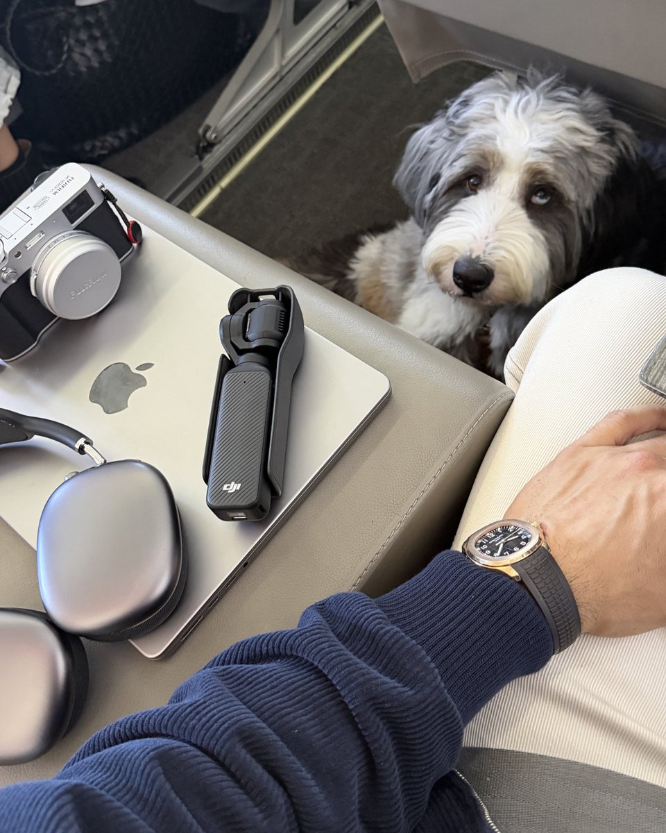 Alex Costa tweet media