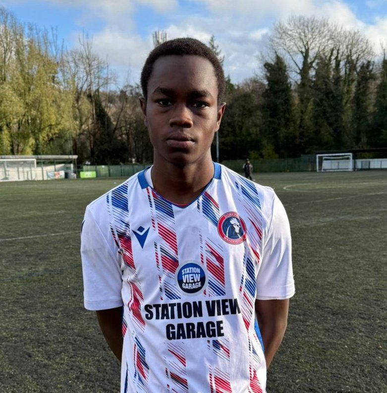 Dorking Wanderers Academy tweet media