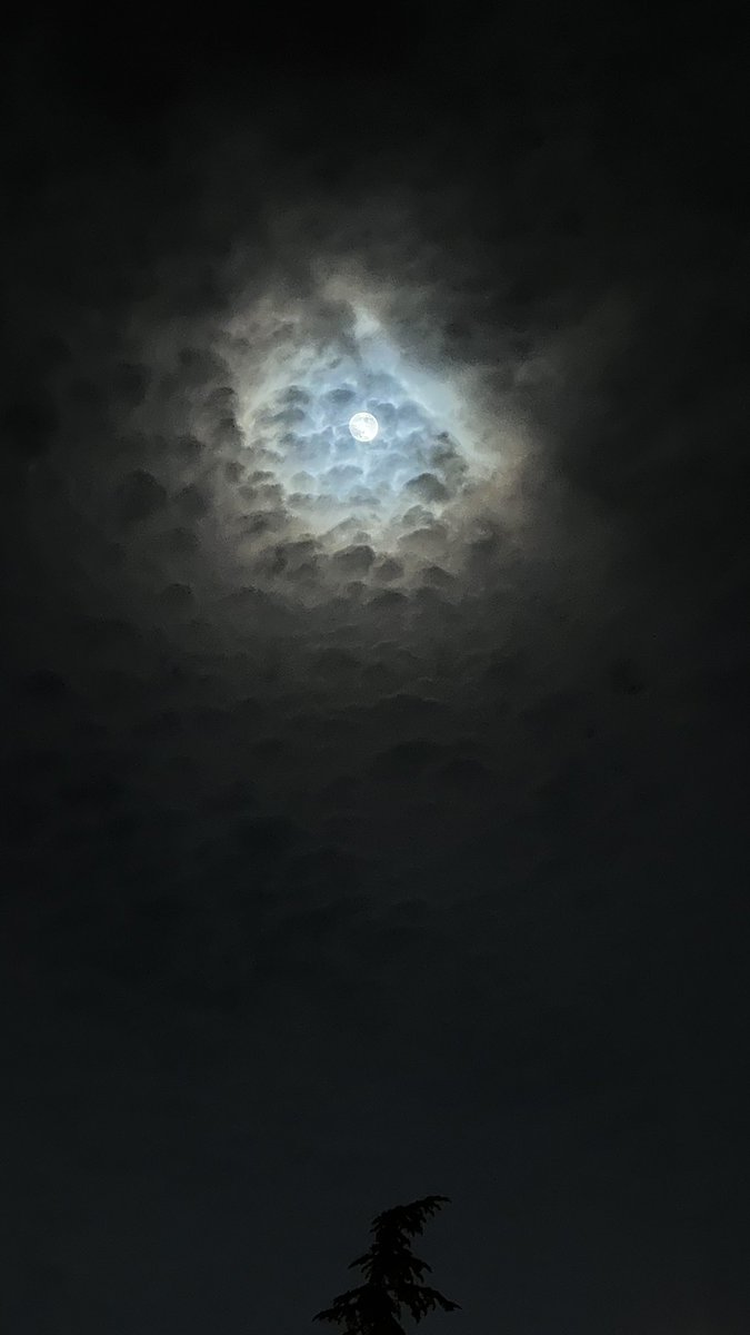 Ey Rabbim. 
Sakla beni, nefsim izimi bulmasın. ☁️

#gecedersi