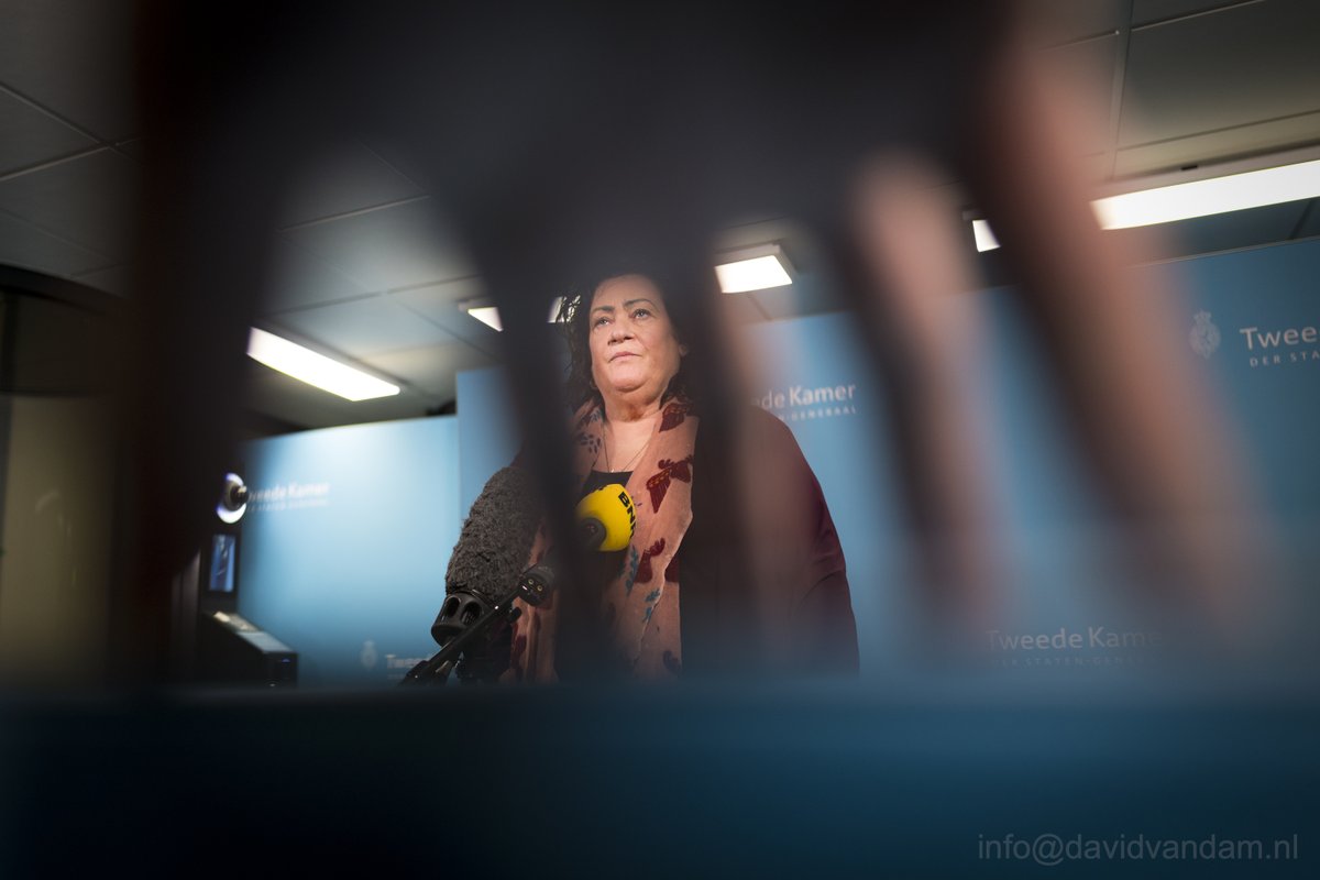 David van Dam tweet media