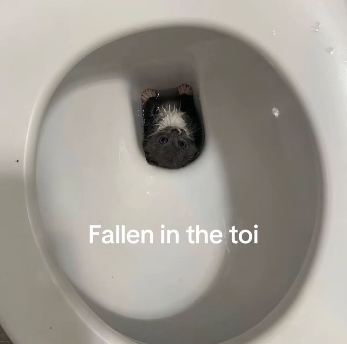 no context memes tweet media