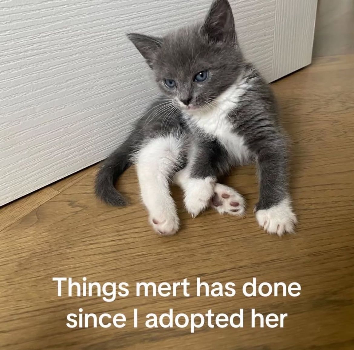 no context memes tweet media